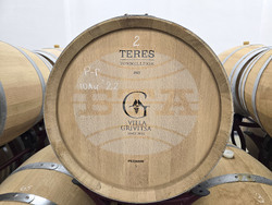 Плевен - изба "Гривица" - собствени лозя