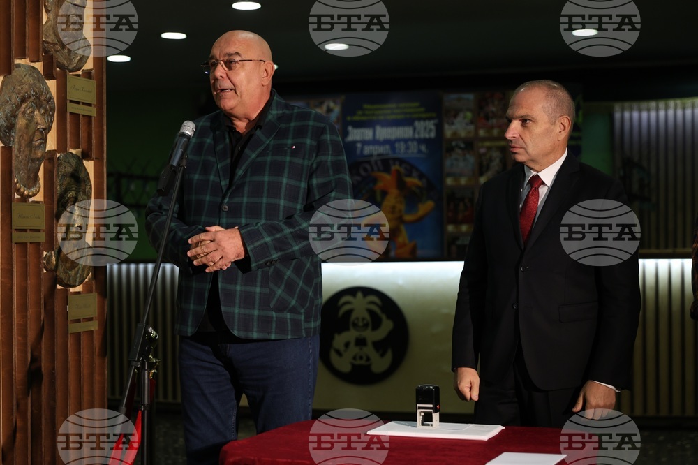 Сатиричен театър „Алеко Константинов“ - марка - валидиране