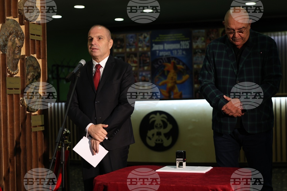 Сатиричен театър „Алеко Константинов“ - марка - валидиране