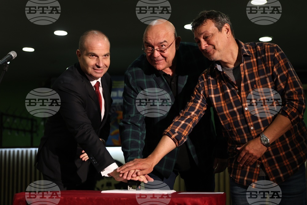 Сатиричен театър „Алеко Константинов“ - марка - валидиране