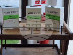 Село Генерал Кантарджиево - винарска изба "Варна"