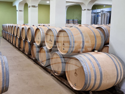 Село Генерал Кантарджиево - винарска изба "Варна"