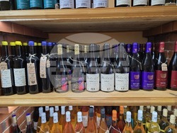 Видин - изба „Видинска гъмза“