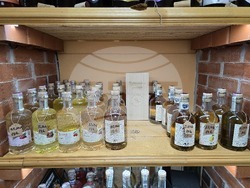 Видин - изба „Видинска гъмза“