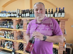 Видин - изба „Видинска гъмза“