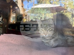 Чакърови поляни - параклис „Св. Иван Рилски” - Бойко Павлов