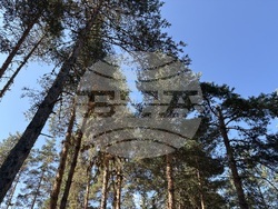 Чакърови поляни - параклис „Св. Иван Рилски” - Бойко Павлов