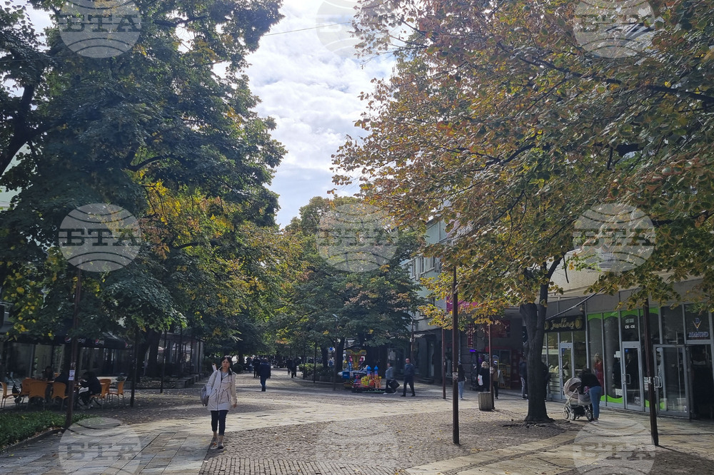 В бюрата по труда в област Търговище са обявени десет свободни места за висококвалифицирани специалисти