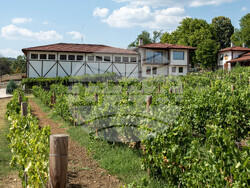 Снимка: Винарна Чукара