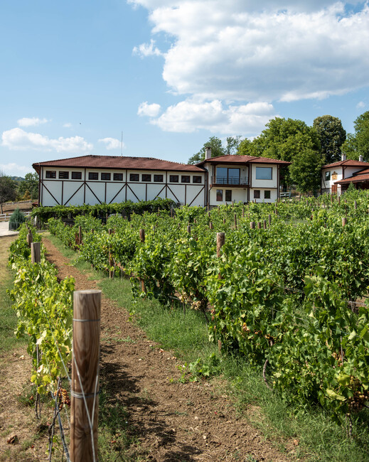 Chukara Winery to Offer New Chardonnay in Autumn