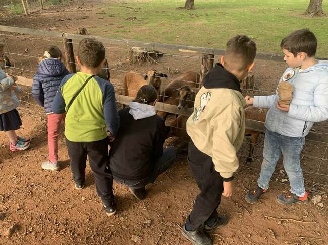 Състояха се поредни уроци по български език на открито, част от поредицата „Български език накрак” на училище „Аз Буки Веди” в Кьолн
