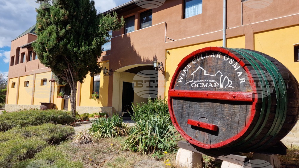 Osmar: Family-Run Winery Balances Tradition, Tourism, and Exports Despite Harsh Conditions in 2025