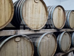 Село Осмар - Винарска изба „Осмар“