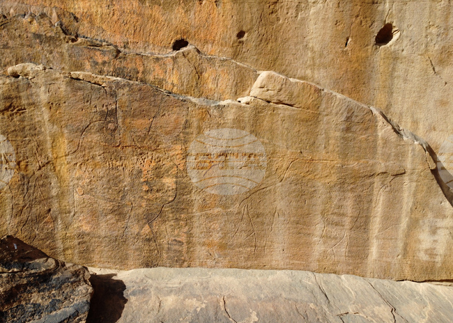 Учени откриха изображения на животни на 12 000 години в пустинята на Саудитска Арабия