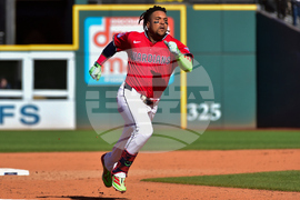 Tigers Guardians Baseball