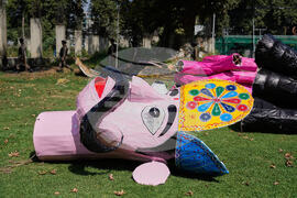 India Kashmir Hindu Festival