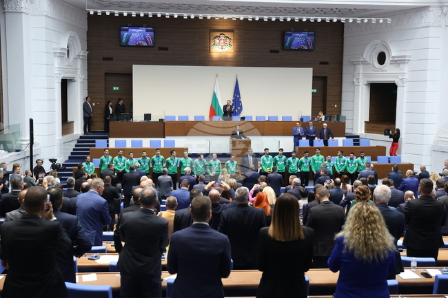 Националният отбор по волейбол беше приветстван от депутатите с аплодисменти и ставане на крака в пленарната зала