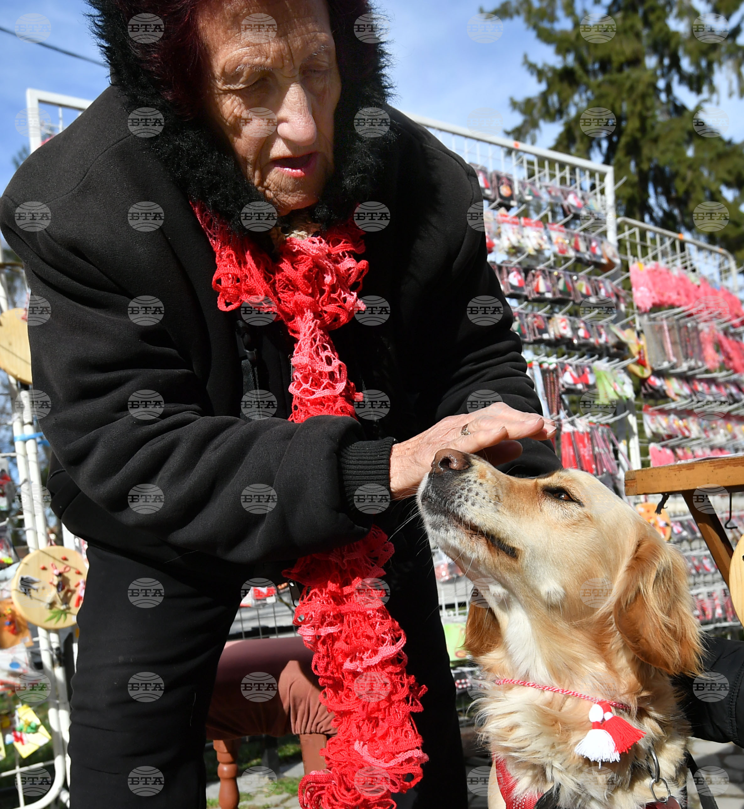 Исперих - домашен любимец - мартеница - любопитно