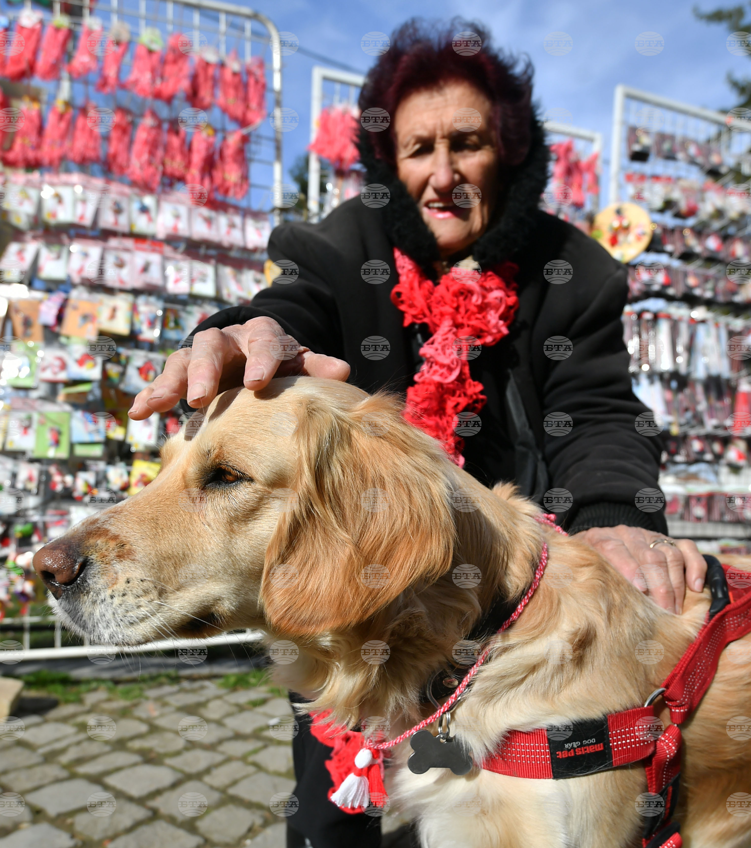 Исперих - домашен любимец - мартеница - любопитно