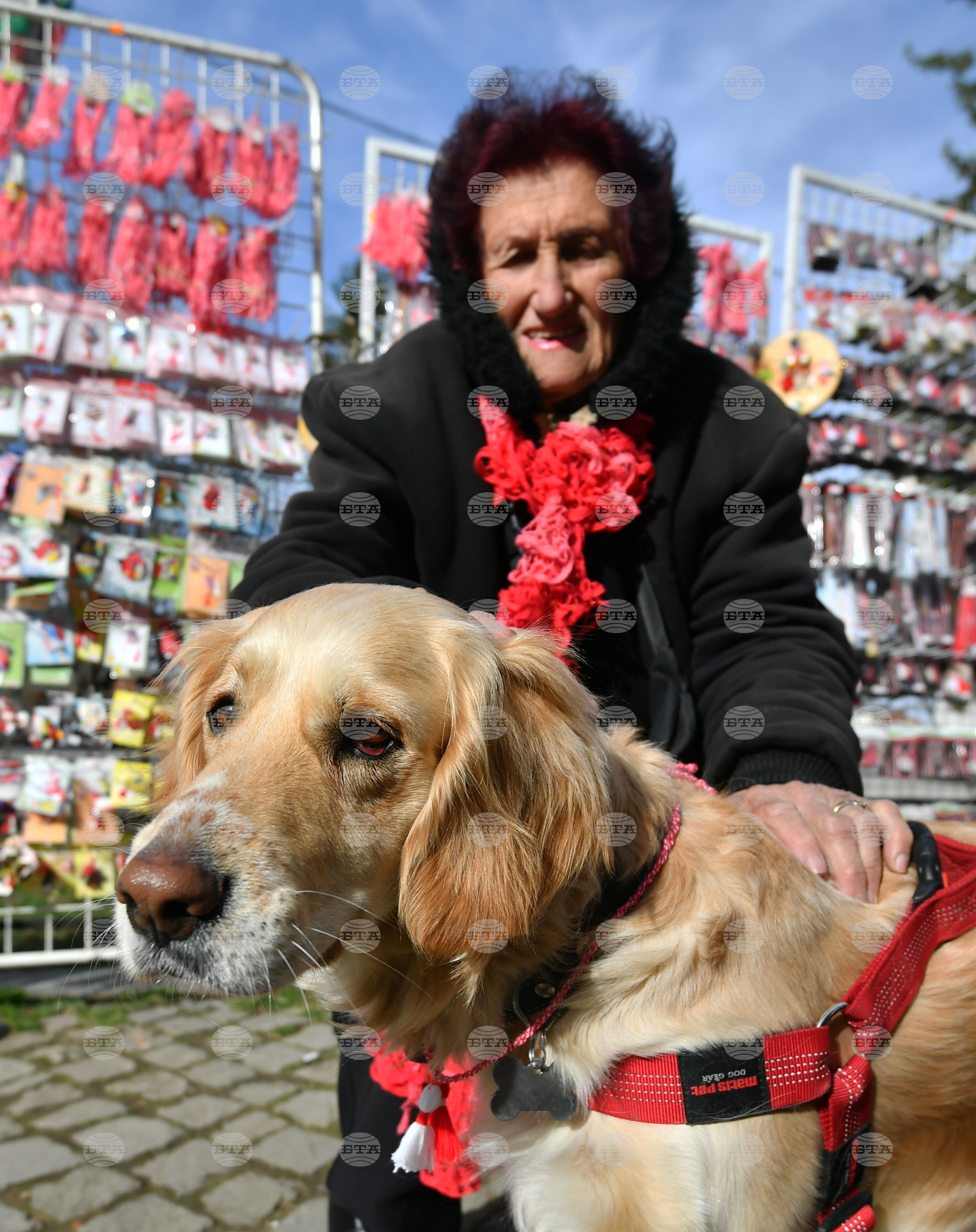 Исперих - домашен любимец - мартеница - любопитно