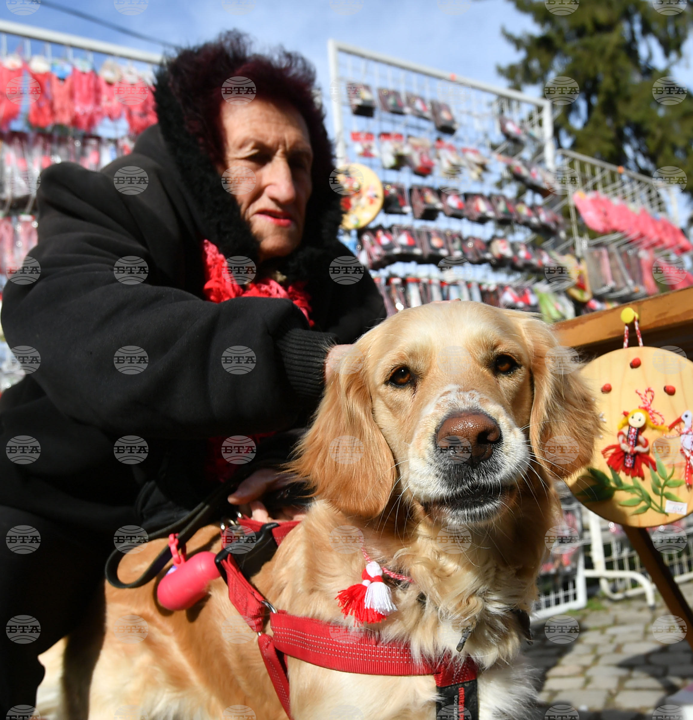 Исперих - домашен любимец - мартеница - любопитно