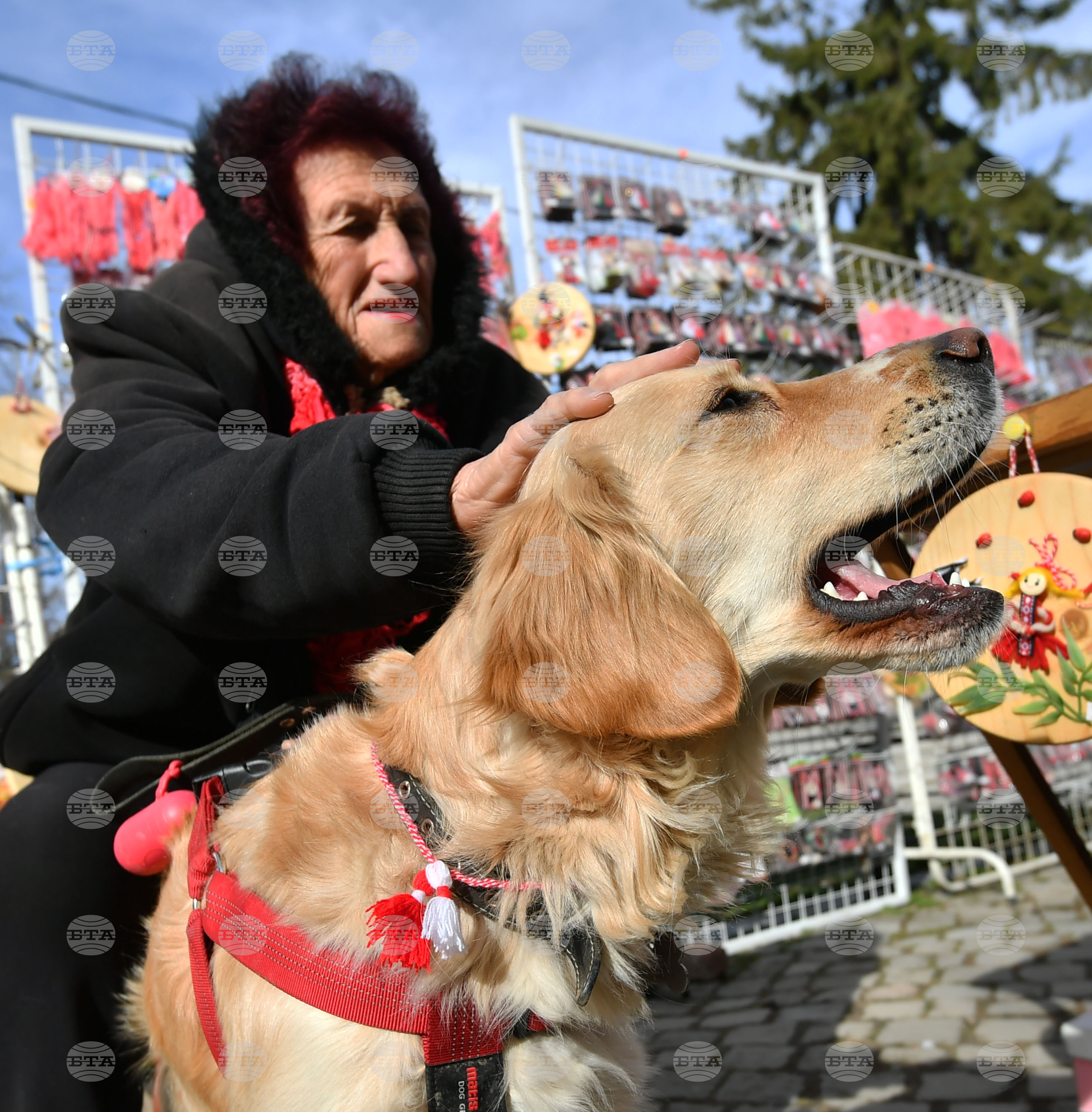 Исперих - домашен любимец - мартеница - любопитно