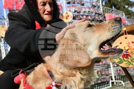 Исперих - домашен любимец - мартеница - любопитно