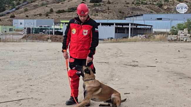 Групата за спасяване с кучета към Планинската спасителна служба провежда обучение на полигона край Разлог