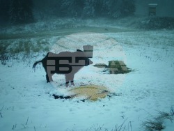 Снимка: Южноцентрално държавно предприятие – гр. Смолян