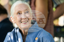 Obit Jane Goodall