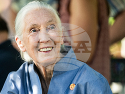 Obit Jane Goodall