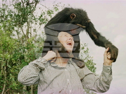 Obit Jane Goodall