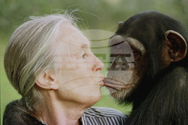 Obit Jane Goodall