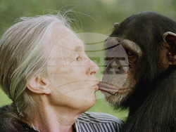 Obit Jane Goodall