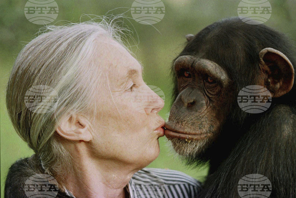 Obit Jane Goodall