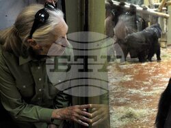 Obit Jane Goodall