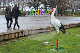 Варна - Баба Марта - Пижо и Пенда