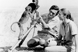 Obit Jane Goodall