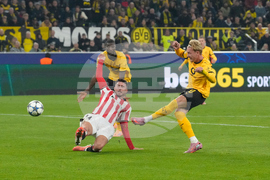 Germany Soccer Champions League