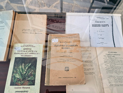 Разград - изложба - акад. Анание Явашов