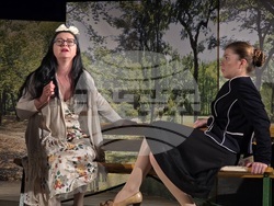 Видин - „Две кратки пиеси за любовта“ - драматичен театър – премиера