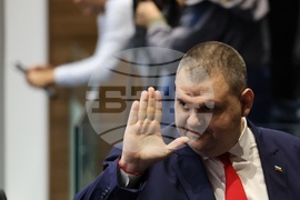 Народно събрание - заседание - Делян Пеевски