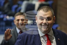 Народно събрание - заседание - Делян Пеевски