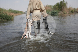 Sudan Floods