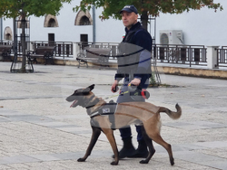 Сливен - тактическо учение