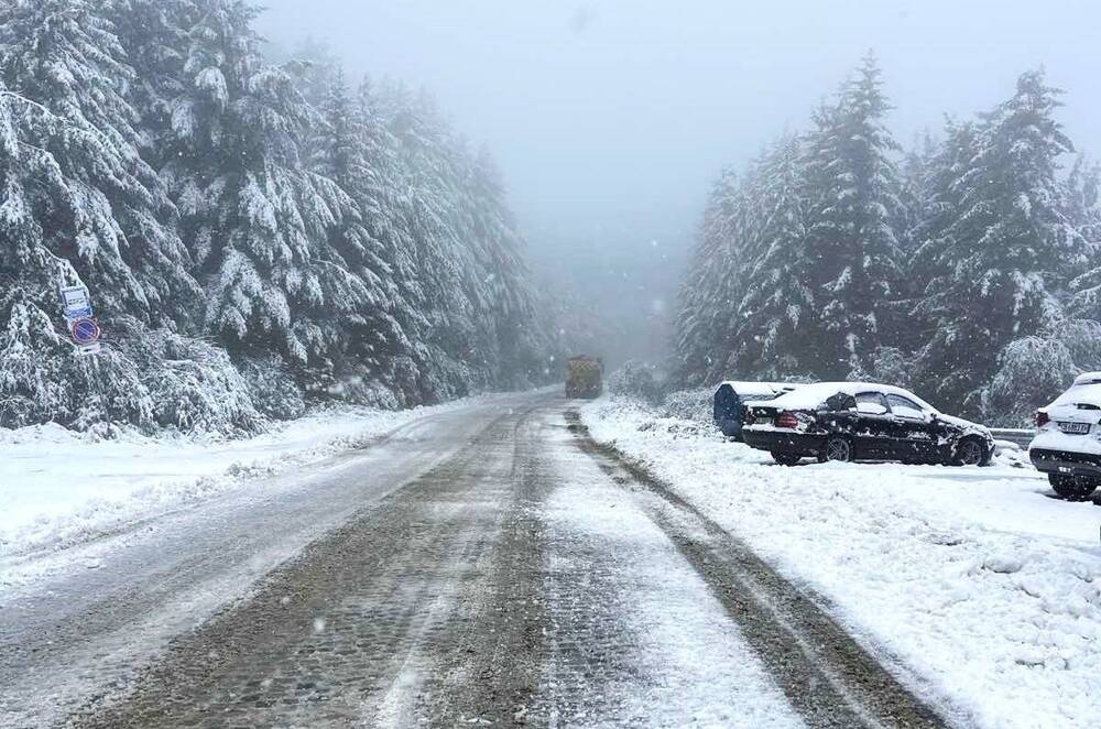 В София е задействана системата BG-ALERT заради обстановката в природен парк "Витоша"