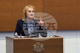 Народно събрание - заседание - Красимира Катинчарова