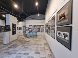 Кърджали - изложба - фотографии