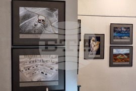 Кърджали - изложба - фотографии