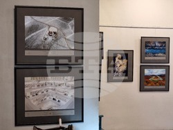 Кърджали - изложба - фотографии